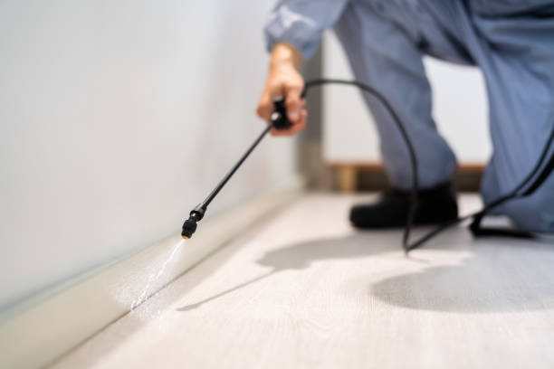 Licensed Fumigation Services service in Benjamin, UT - Nex Pest Control